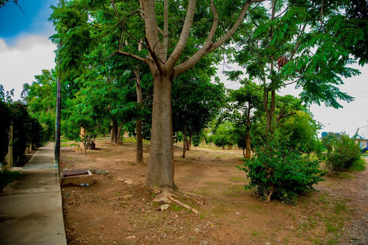 Sanctuary Aparthotel-Ac-Garden- Solar-Wi-Fi -Firepit-Park-Carport Lusaka Exteriör bild