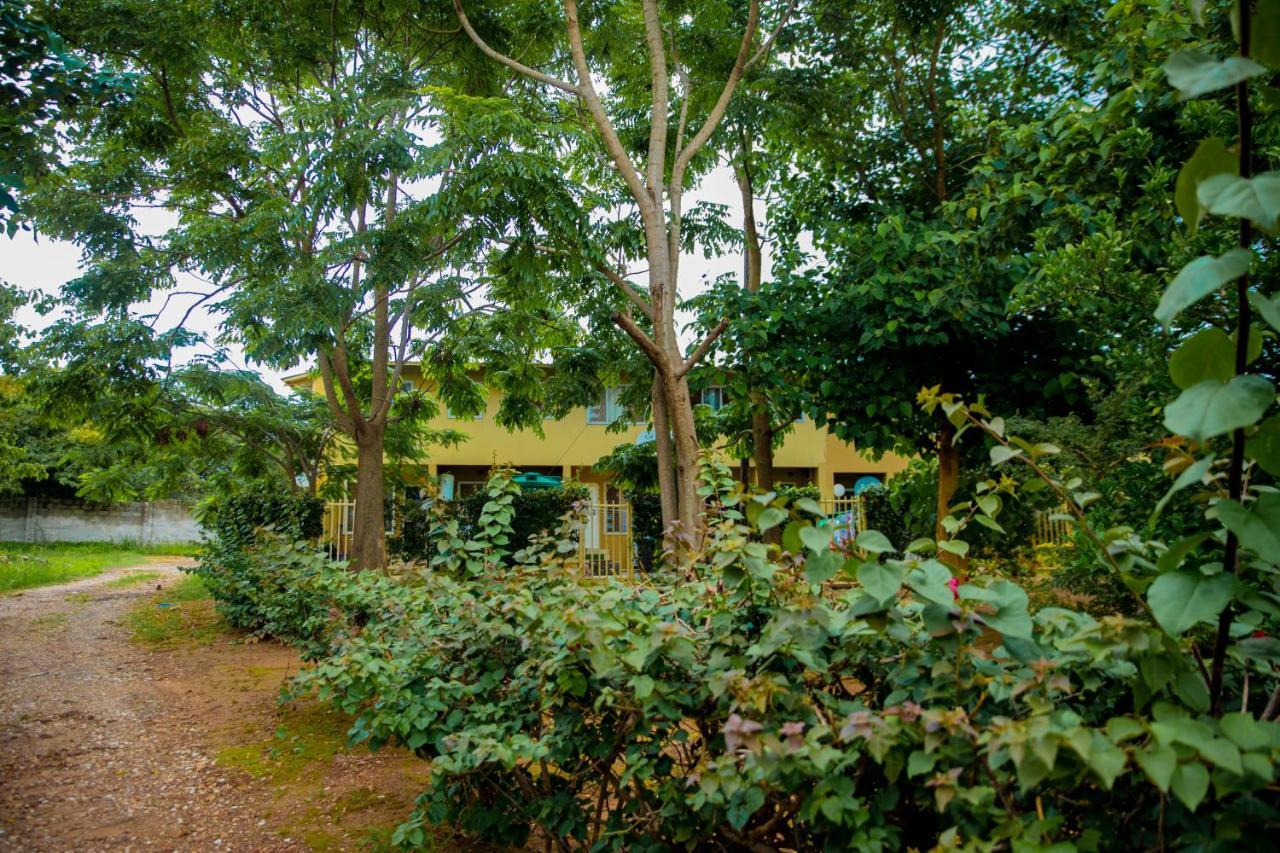 Sanctuary Aparthotel-Ac-Garden- Solar-Wi-Fi -Firepit-Park-Carport Lusaka Exteriör bild