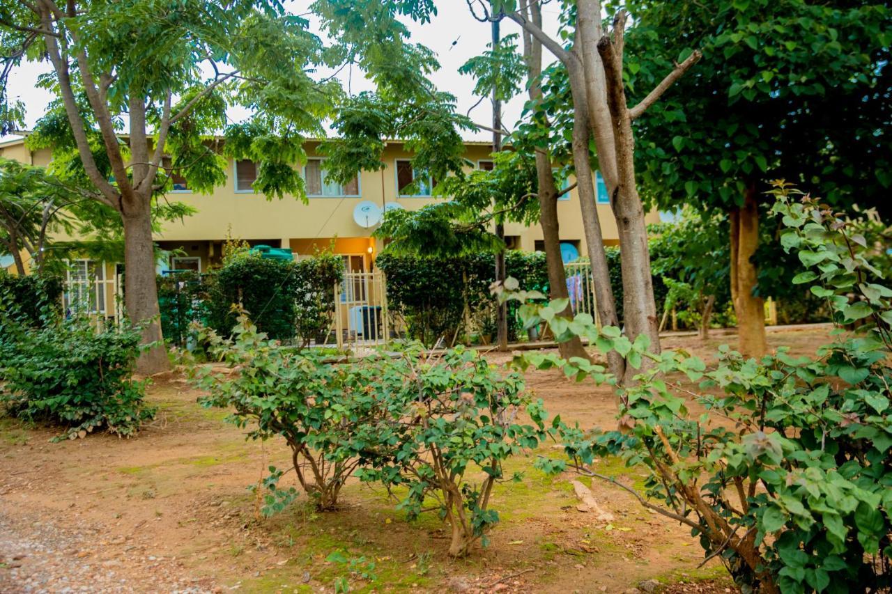 Sanctuary Aparthotel-Ac-Garden- Solar-Wi-Fi -Firepit-Park-Carport Lusaka Exteriör bild