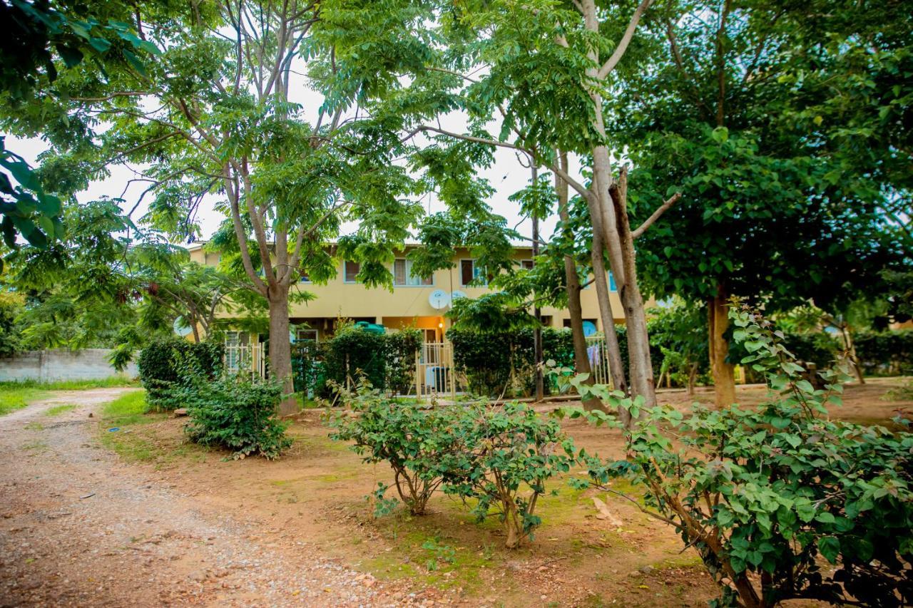 Sanctuary Aparthotel-Ac-Garden- Solar-Wi-Fi -Firepit-Park-Carport Lusaka Exteriör bild